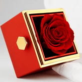 La Rose éternelle De Zina Glamour