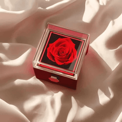 La Rose éternelle De Zina Glamour