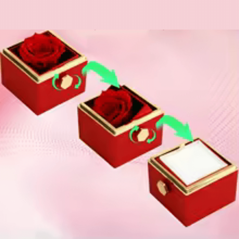 La Rose éternelle De Zina Glamour
