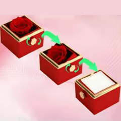 La Rose éternelle De Zina Glamour