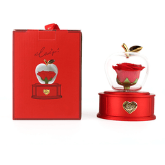 The romantic gift of an apple